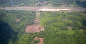 Honduras: Narcotráfico Aniquila Bosques