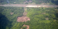 Honduras: Narcotrfico Aniquila Bosques